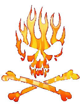 Sans  Commentaires  ________